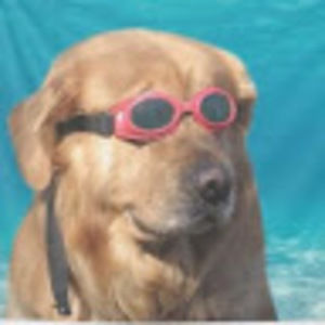 Meet your Posher, Sally